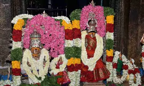 மாயூரநாதர் கோவிலில் ஆனி திருவிழா மாயூரநாதர் கோவிலில் ஆனி திருவிழா
