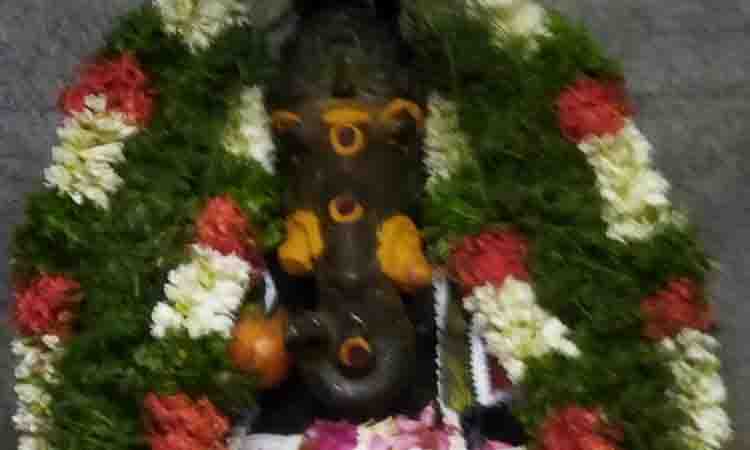 விநாயகர் கோவில்களில் சிறப்பு அபிஷேகம்