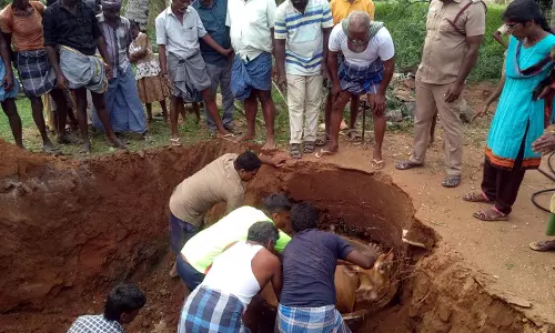 நாமக்கல் அருகே  தொட்டியில் தவறி விழுந்த பசுமாடு உயிருடன் மீட்பு