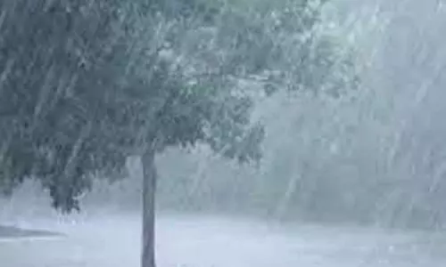 குமரியில் மழை:  சிற்றார்-2 அணை பகுதியில் 23.6 மி.மீ. பதிவு