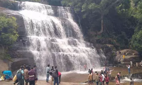 நீர்வரத்து அதிகரிப்பு:  மேகமலை அருவியில் ஆர்ப்பரித்து கொட்டிய தண்ணீர்