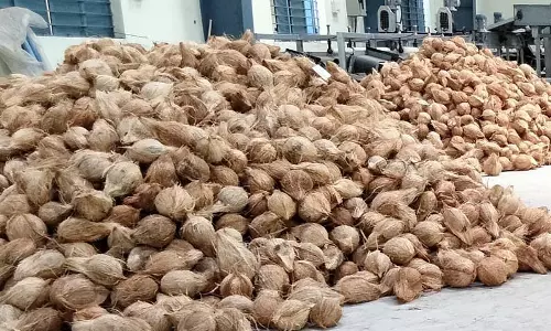 பரமத்திவேலூர் சந்தையில் தேங்காய் ஏலம் பரமத்திவேலூர் சந்தையில் தேங்காய் ஏலம்