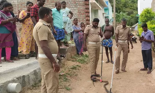 வீட்டுக்குள் பாம்பு புகுந்ததால் பரபரப்பு