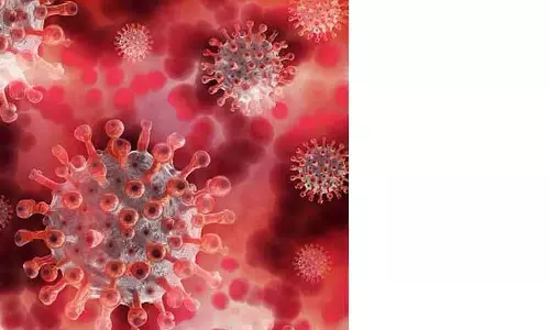 24 பேருக்கு கொரோனா நோய்த்தொற்று