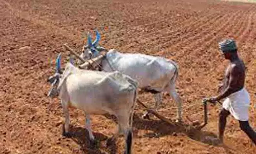 இலவசமாக வண்டல், களிமண் எடுக்க அனுமதி இலவசமாக வண்டல், களிமண் எடுக்க அனுமதி