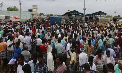 பக்ரீத் பண்டிகையையொட்டி மேலப்பாளையம் சந்தையில் ரூ.3 கோடிக்கு ஆடுகள் விற்பனை பக்ரீத் பண்டிகையையொட்டி மேலப்பாளையம் சந்தையில் ரூ.3 கோடிக்கு ஆடுகள் விற்பனை