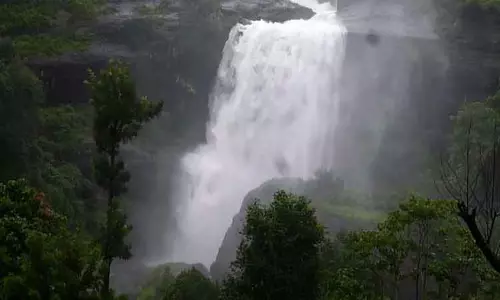 வால்பாறையில் தொடர் மழை