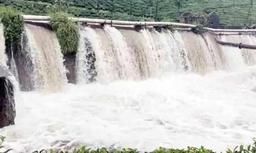 மண்சரிவால் தேயிலைச்செடிகள் தண்ணீரில் அடித்து செல்லப்பட்டது