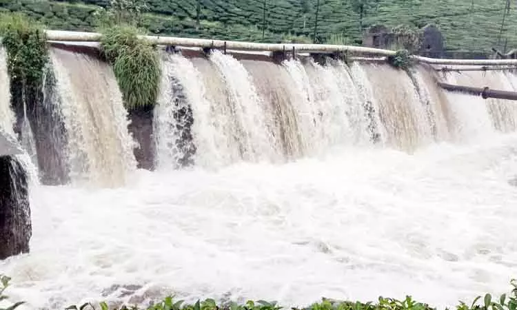 மண்சரிவால் தேயிலைச்செடிகள் தண்ணீரில் அடித்து செல்லப்பட்டது