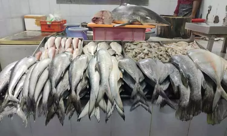 கோவையில் கடல் மீன் விலை உயர்வு கோவையில் கடல் மீன் விலை உயர்வு