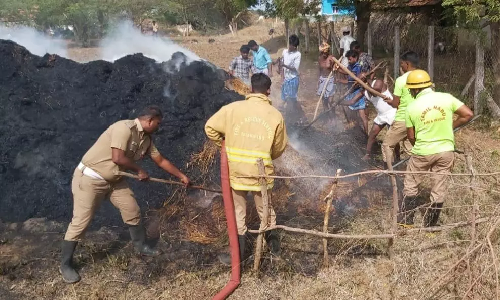 வைக்கோல் படப்பு  எரிந்து நாசம்