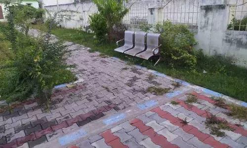 பாணாவரத்தில் பராமரிப்பு இன்றி கிடக்கும் பூங்கா உடற்பயிற்சி கூடம்