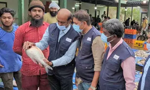 மீன் கடைகளில் அதிகாரிகள் திடீர் ஆய்வு