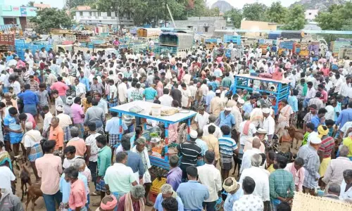 பக்ரீத் பண்டிகையை முன்னிட்டு  செஞ்சி வாரச்சந்தையில் ரூ.6 கோடிக்கு ஆடுகள் விற்பனை