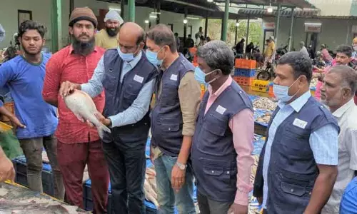 மீன் கடைகளில் அதிகாரிகள் திடீர் ஆய்வு