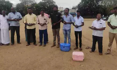 கரூர் திருவள்ளுவர் மைதானத்தில் புறா பந்தயம்