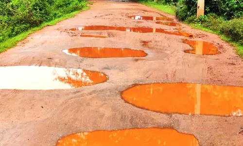 குண்டும், குழியுமாக காட்சி அளிக்கும் சாலையை சீரமைக்க கோரி கலெக்டரிடம் மனு