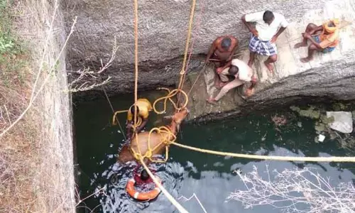 கிணற்றுக்குள் விழுந்த பசு மீட்பு கிணற்றுக்குள் விழுந்த பசு மீட்பு