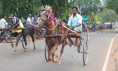 கோவில் திருவிழாவையொட்டி குதிரை, மாட்டு வண்டி பந்தயம்