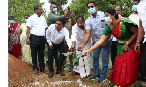 அலமேலுமங்காபுரம் காப்புக்காட்டில் நகர்வன திட்டத்தில் மரக்கன்றுகள் நடும் நிகழ்ச்சி அலமேலுமங்காபுரம் காப்புக்காட்டில் நகர்வன திட்டத்தில் மரக்கன்றுகள் நடும் நிகழ்ச்சி