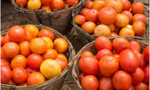 நாமக்கல் உழவர் சந்தையில்  தக்காளி கிலோ ரூ.15-க்கு விற்பனை