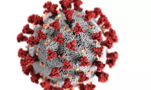 கோவையில் 119 பேருக்கு கொரோனா கோவையில் 119 பேருக்கு கொரோனா