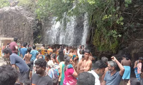 அகஸ்தியர் அருவியில் குவிந்த சுற்றுலா பயணிகள்; ஆனந்தமாக குளித்து மகிழ்ந்தனர்