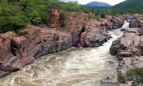 மேகதாது அணை விவகாரம்: தமிழக அரசு மனு மீது அடுத்த வாரம் விசாரணை