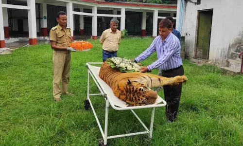 இந்தியாவில் அதிக ஆண்டுகள் வாழ்ந்த புலி உயிரிழப்பு..!!