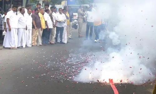 அ.தி.மு.க.வினர் பட்டாசு வெடித்து கொண்டாட்டம்