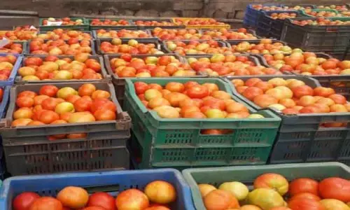 தக்காளி விலை கடும் வீழ்ச்சி; கிலோ ரூ.5-க்கு ஏலம்