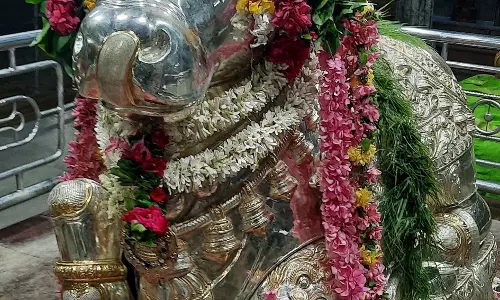 ராசிபுரத்தில் கைலாசநாதர் கோவில் பிரதோஷ விழா ராசிபுரத்தில் கைலாசநாதர் கோவில் பிரதோஷ விழா