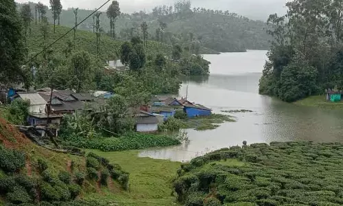 வீடுகள், தேயிலை தோட்டங்களை வெள்ளம் சூழ்ந்தது வீடுகள், தேயிலை தோட்டங்களை வெள்ளம் சூழ்ந்தது