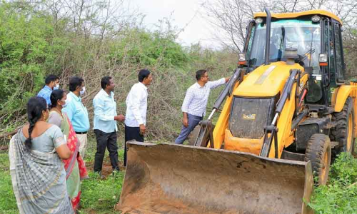 சீமைகருவேல மரங்கள் அகற்றும் பணியை கலெக்டர் ஆய்வு