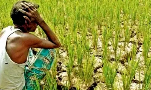 தரிசு நிலங்களை மேம்படுத்தி சாகுபடி செய்து பயன்பெறலாம் - வேளாண் இணை இயக்குனர் தகவல்