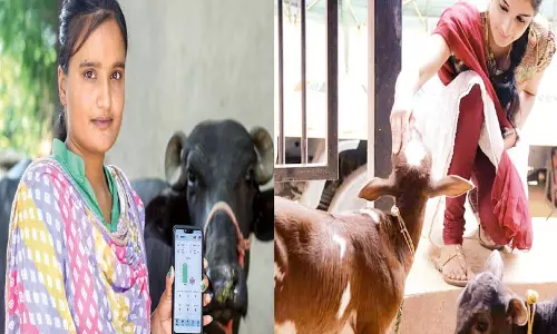 வித்தியாசமான முறையில் பால்பண்ணை நடத்தும் பட்டதாரி தோழிகள்