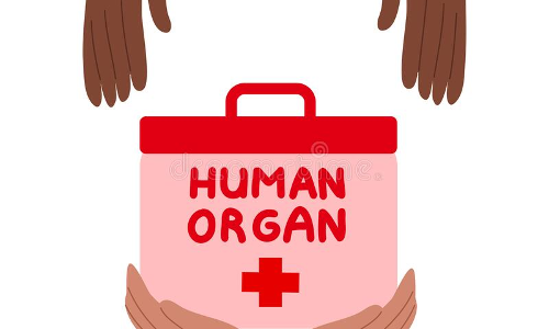 கல்லூரி மாணவரின் உடல் உறுப்புகள் தானம்