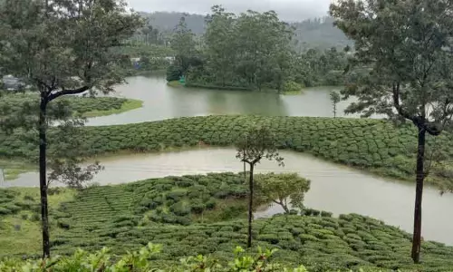 தேயிலை தோட்டங்களை வெள்ளம் சூழ்ந்தது