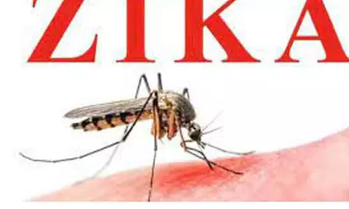 பால்கர் உறைவிட பள்ளியில் 7 வயது மாணவிக்கு ஜிகா வைரஸ் பால்கர் உறைவிட பள்ளியில் 7 வயது மாணவிக்கு ஜிகா வைரஸ்