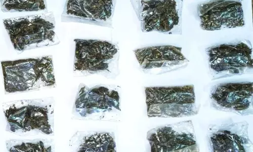 மதுரை மத்திய சிறையில் இருக்கும் மகளை கஞ்சாவுடன் பார்க்க வந்த மூதாட்டி கைது