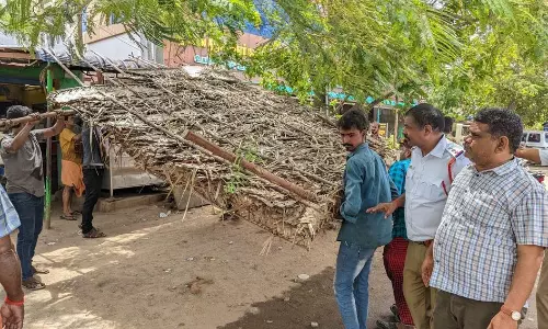 பழனியில் சாலையோர ஆக்கிரமிப்புகள் அகற்றம் பழனியில் சாலையோர ஆக்கிரமிப்புகள் அகற்றம்
