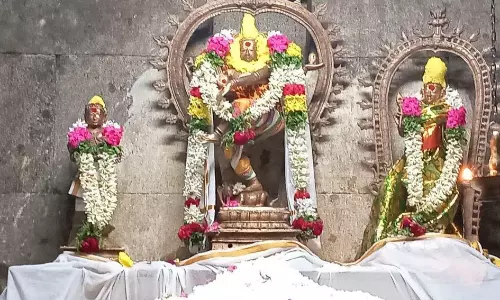 உலக நலன் வேண்டி பழனி பெரியநாயகி அம்மன் கோவிலில் அன்னாபிஷேகம் உலக நலன் வேண்டி பழனி பெரியநாயகி அம்மன் கோவிலில் அன்னாபிஷேகம்