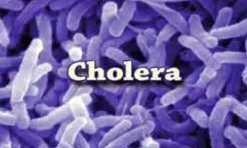 அமராவதி மாவட்டத்தில் காலராவுக்கு 5 பேர் பலி