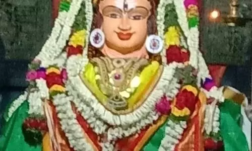 ஆனிமாத தீர்த்த உற்சவம்