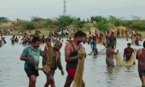 அத்திப்பள்ளம் பெரியகுளத்தில்   மீன்பிடி திருவிழா