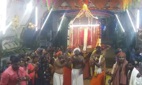 நாராயண சுவாமி கோவில் திருவிழா