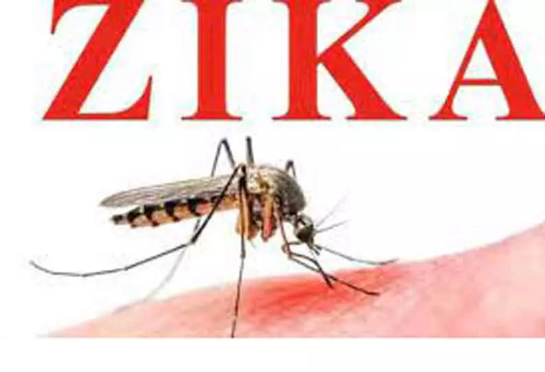 பால்கர் உறைவிட பள்ளியில் 7 வயது மாணவிக்கு ஜிகா வைரஸ் பால்கர் உறைவிட பள்ளியில் 7 வயது மாணவிக்கு ஜிகா வைரஸ்