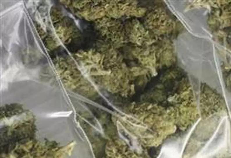 அரகண்டநல்லூர் அருகே ஓசூரில் இருந்து கஞ்சா கடத்தி வந்து விற்பனை வாலிபர் கைது அரகண்டநல்லூர் அருகே ஓசூரில் இருந்து கஞ்சா கடத்தி வந்து விற்பனை வாலிபர் கைது