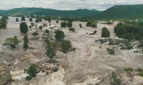 ஒகேனக்கல்லில் 4-வது நாளாக வெள்ளப்பெருக்கு :  சுற்றுலா பயணிகளுக்கு தடை நீட்டிப்பு