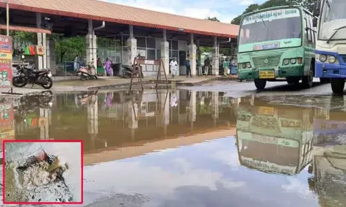பொள்ளாச்சி பஸ் நிலையத்தில் தேங்கி நிற்கும் மழைநீரால் பயணிகள் அவதி- குழந்தையுடன் தவறி விழுந்த பெண் காயம் பொள்ளாச்சி பஸ் நிலையத்தில் தேங்கி நிற்கும் மழைநீரால் பயணிகள் அவதி- குழந்தையுடன் தவறி விழுந்த பெண் காயம்